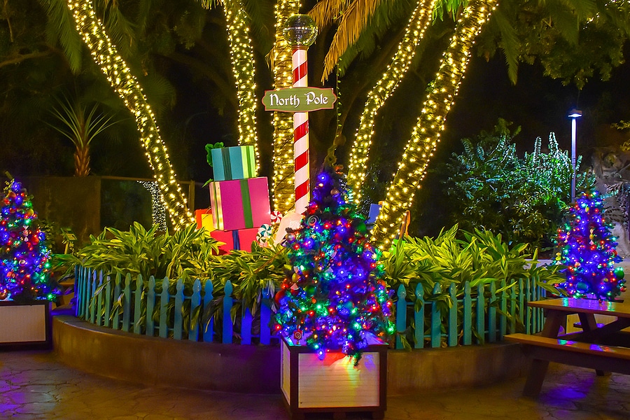 See Christmas Lights in West Palm Beach